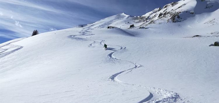 Freeride - Tiefschnee-Skifahren-Skitour