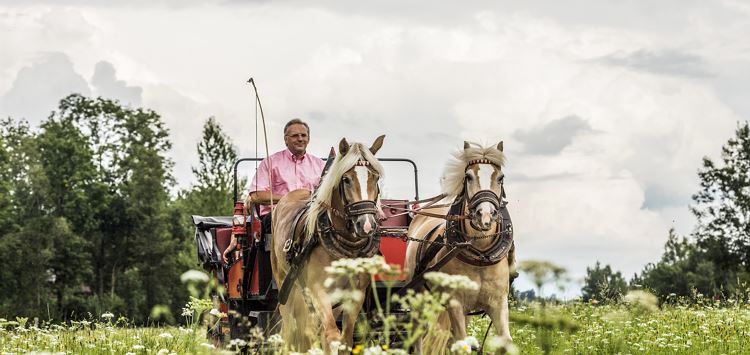 Horse drawn carriage ride around Ellmau