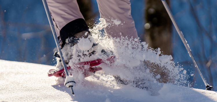 Schneeschuhwander Schuhe