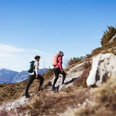 MAARTplus Wandeling om gemzen te zien