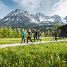 TOP Frühlingswanderung