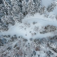 Winter Hike with Yoga and Cocoa Ritual