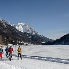 Guided hike 'Out into nature'