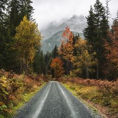 Kaiserherbst - Herbstwanderung mit Georg