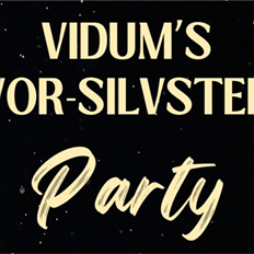 Vidum`s Vorsilvester Party