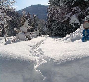 unberührte Natur rund ums Haus