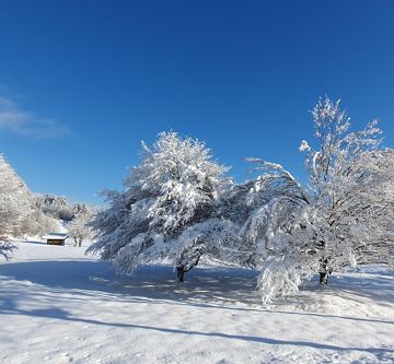 Winter Ellmau