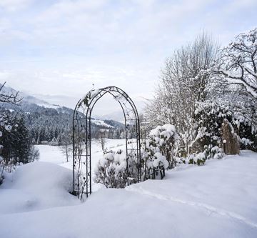 Garten im Winter