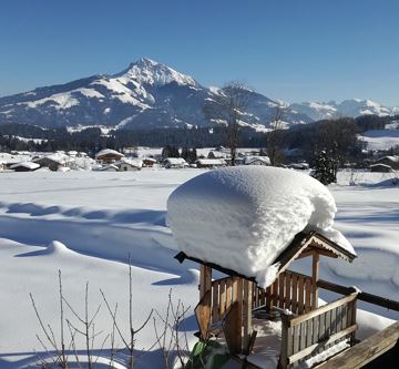 Blick auf´s Kitzbühler Horn