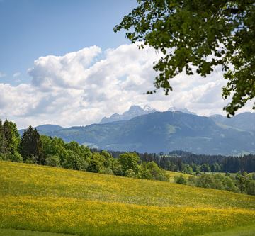 Hotel_Seiwald_Kaiserweg_49_Going_Ausblick