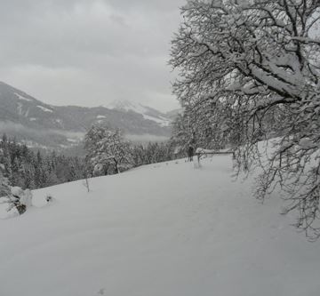 Winterlandschaft vor der Haustür