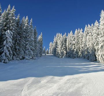 Traumhafte Pisten