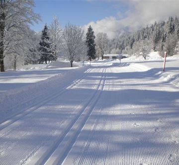 Landschaft Winter