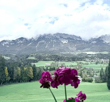 Ausblick auf den Scheffauer