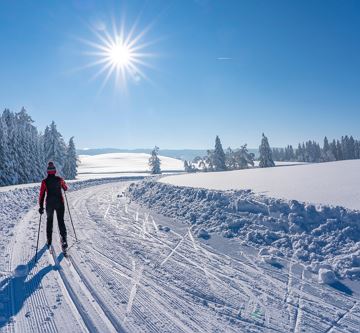 Single Winterurlaub in Söll in der SkiWelt