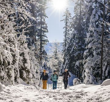 Winterwandern in Söll am Wilden Kaiser - 4 Nächte