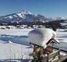 Blick auf´s Kitzbühler Horn