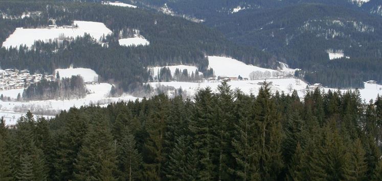 Hausleitnstubn 1