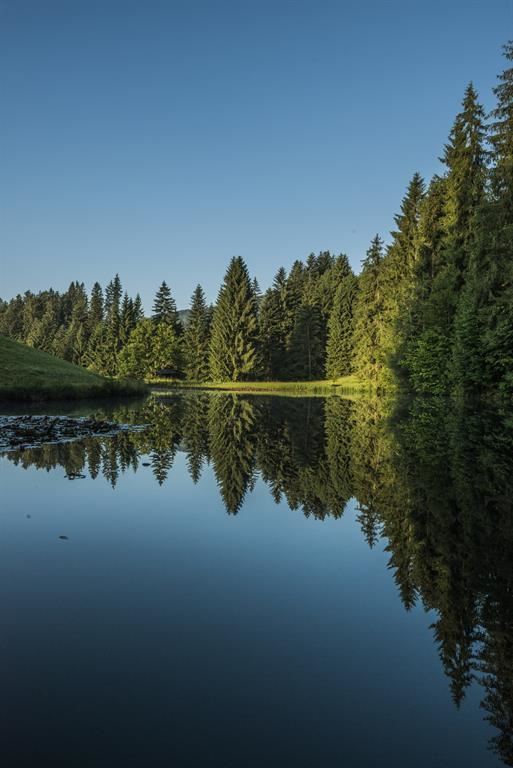 Going_Plattenteich_Wilder Kaiser