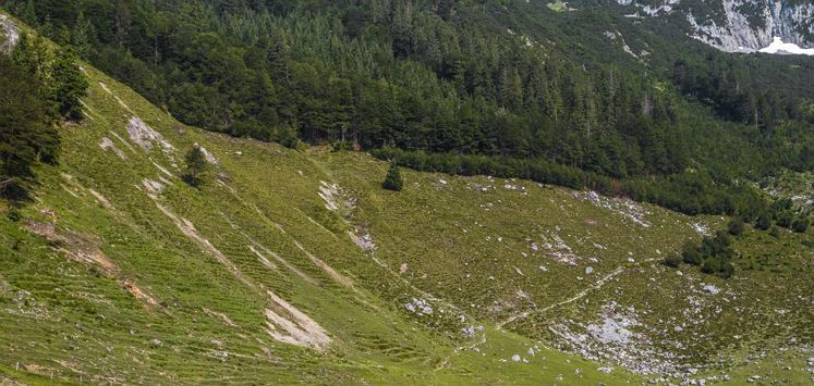 Kaiseralm_Scheffau_Stefan Leitner