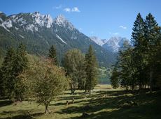 Eagle Walk Stage 03: Kaindlhütte - Kufstein