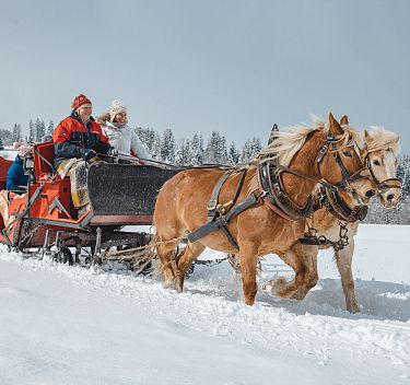 Horse-drawn sleigh ride