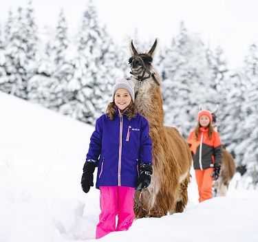 Lama trekking