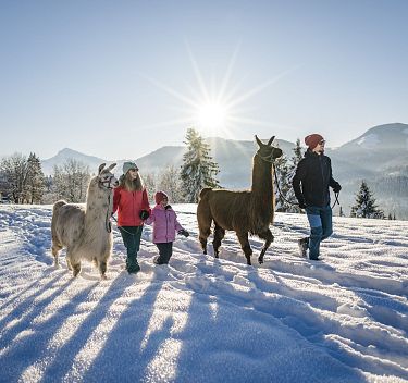 Familienzeit erleben