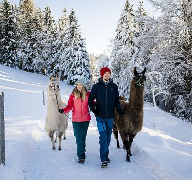 Aktivitäten auf und abseits der Piste