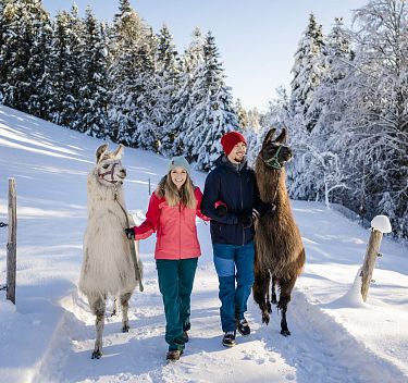 Aktivitäten auf und abseits der Piste