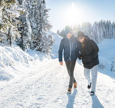 Winterwandelingen