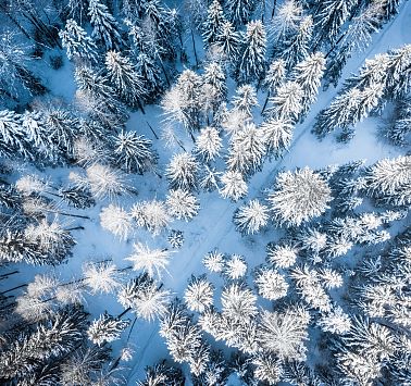 Eine Landschaft mit verschneiten Bäumen (von oben)